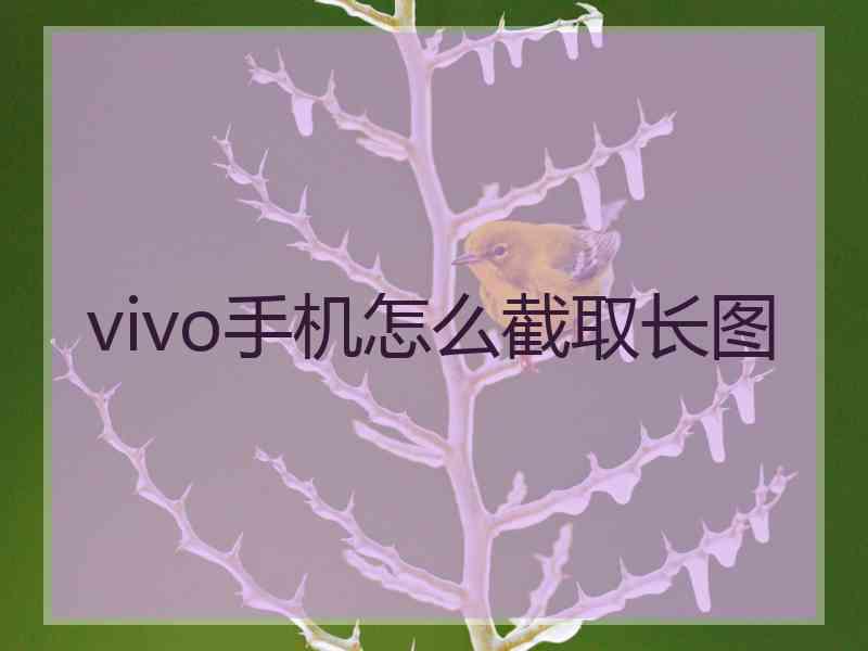 vivo手机怎么截取长图