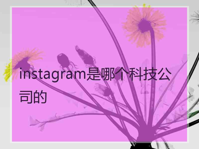 instagram是哪个科技公司的