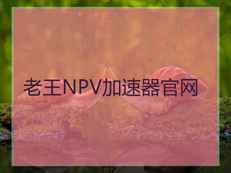 老王NPV加速器官网