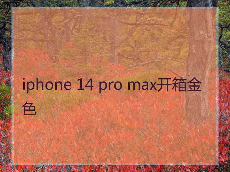 iphone 14 pro max开箱金色