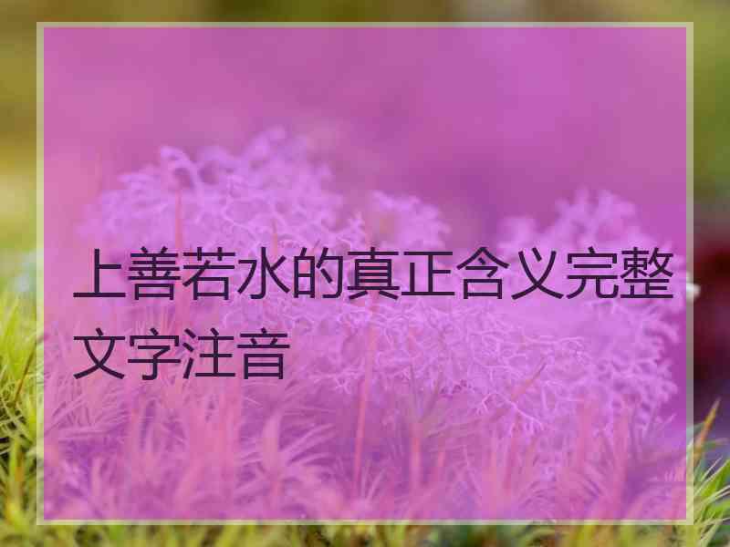 上善若水的真正含义完整文字注音