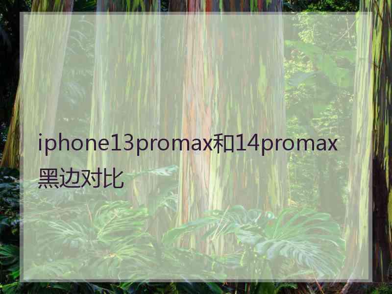 iphone13promax和14promax黑边对比