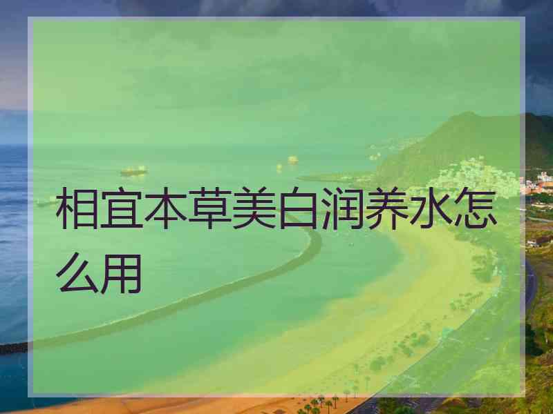 相宜本草美白润养水怎么用