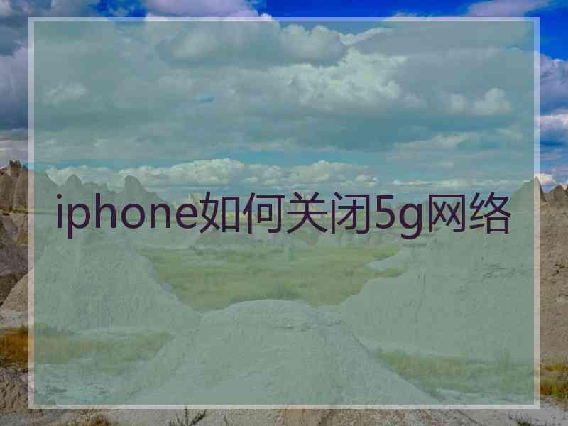 iphone如何关闭5g网络