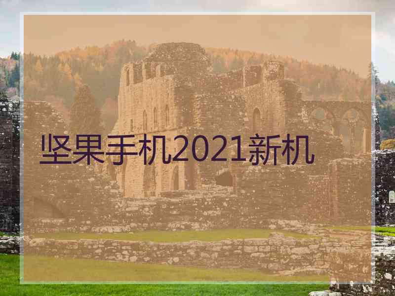 坚果手机2021新机