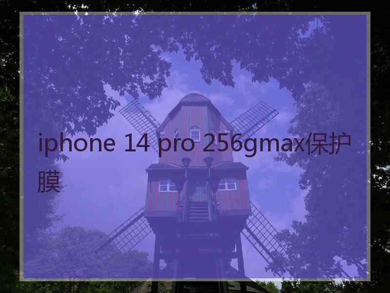 iphone 14 pro 256gmax保护膜