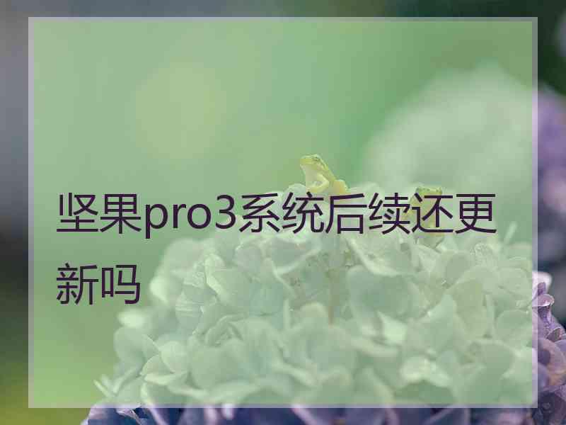 坚果pro3系统后续还更新吗