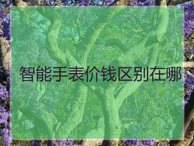 智能手表价钱区别在哪