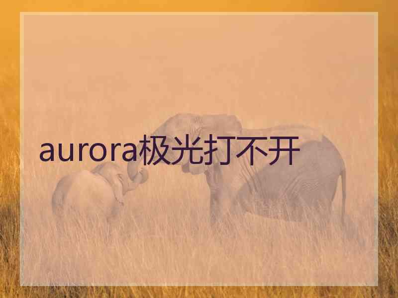 aurora极光打不开