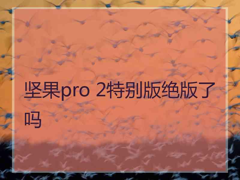 坚果pro 2特别版绝版了吗