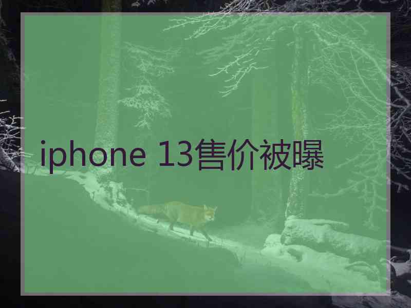 iphone 13售价被曝