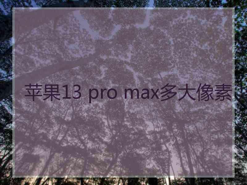 苹果13 pro max多大像素