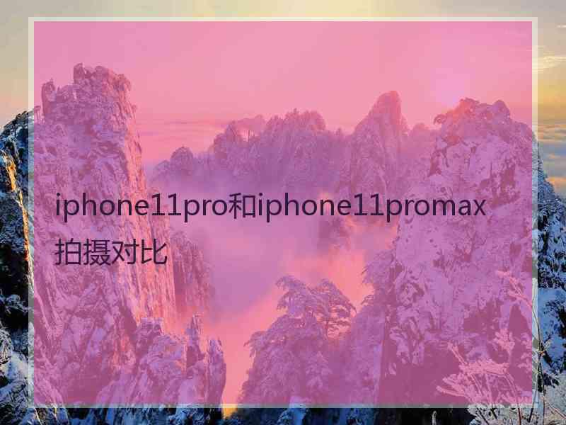 iphone11pro和iphone11promax拍摄对比