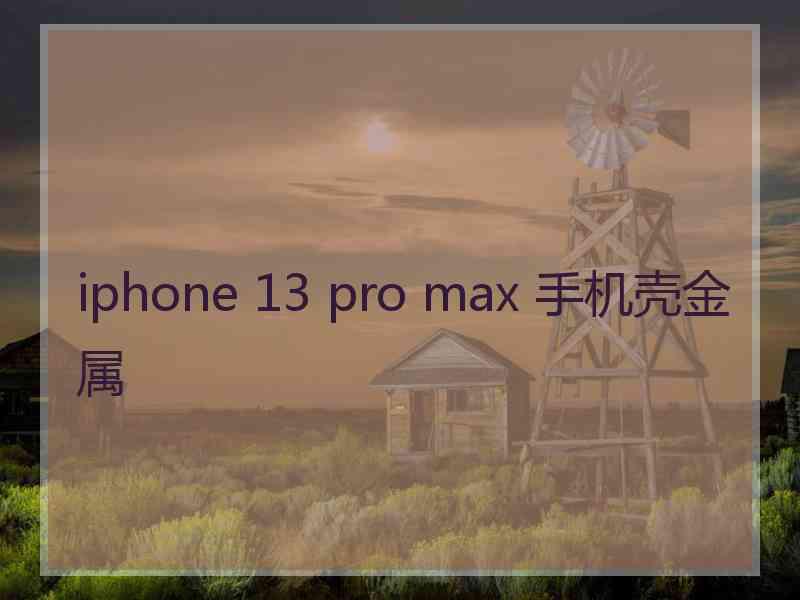 iphone 13 pro max 手机壳金属