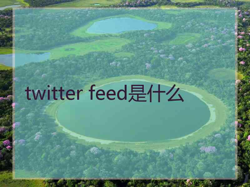 twitter feed是什么