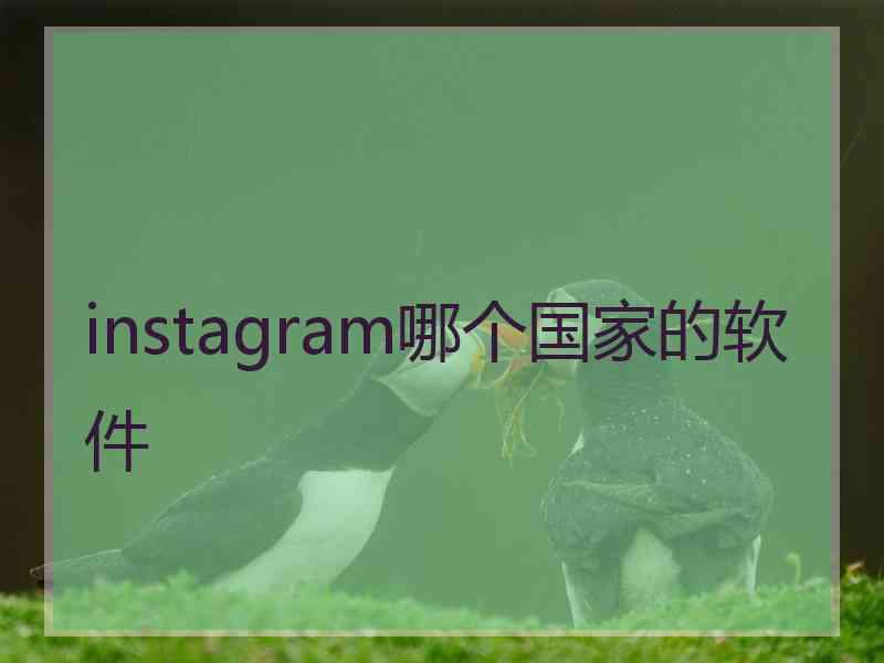 instagram哪个国家的软件