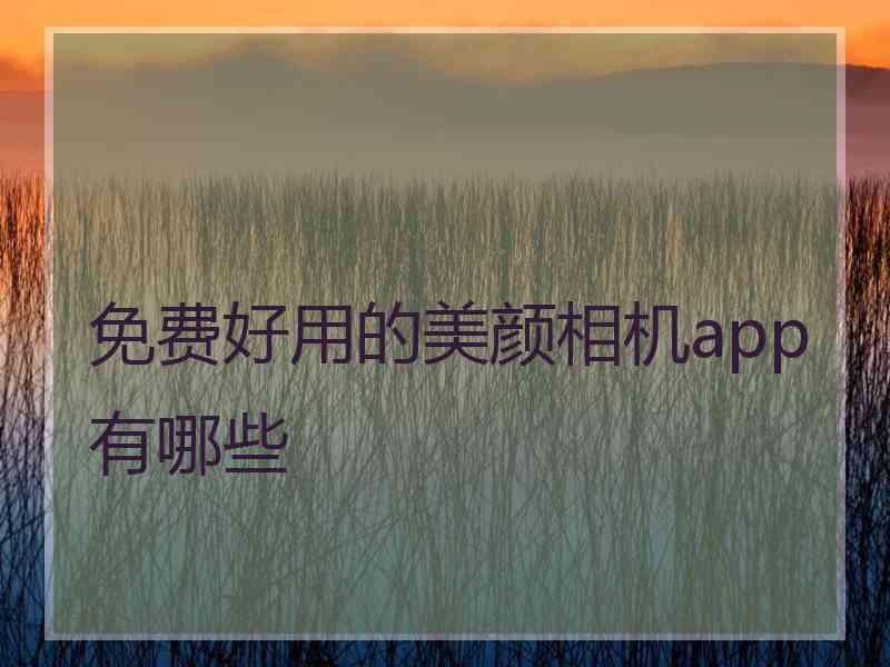 免费好用的美颜相机app有哪些