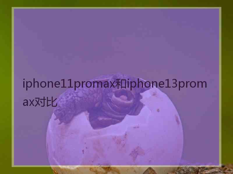 iphone11promax和iphone13promax对比