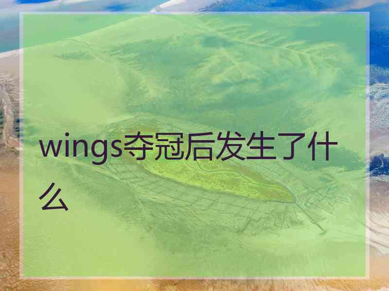 wings夺冠后发生了什么