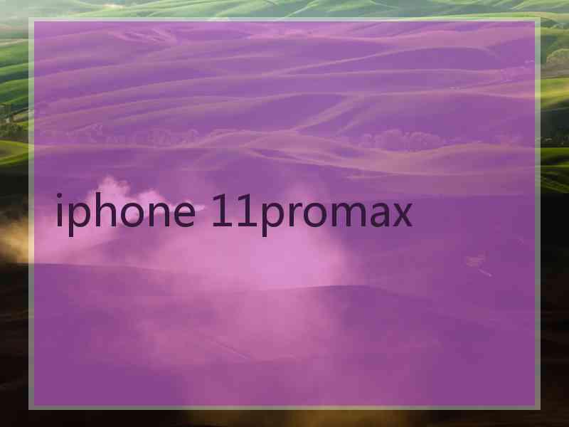 iphone 11promax