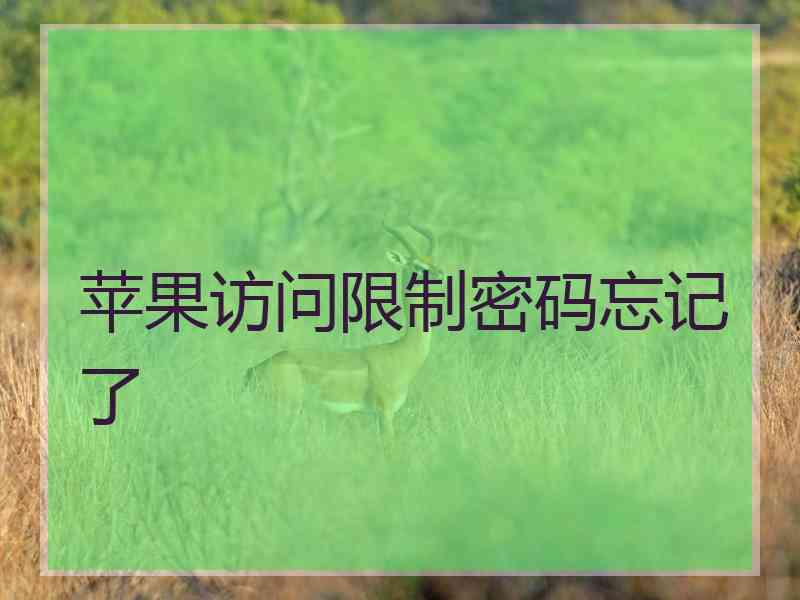 苹果访问限制密码忘记了