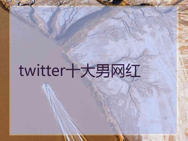 twitter十大男网红