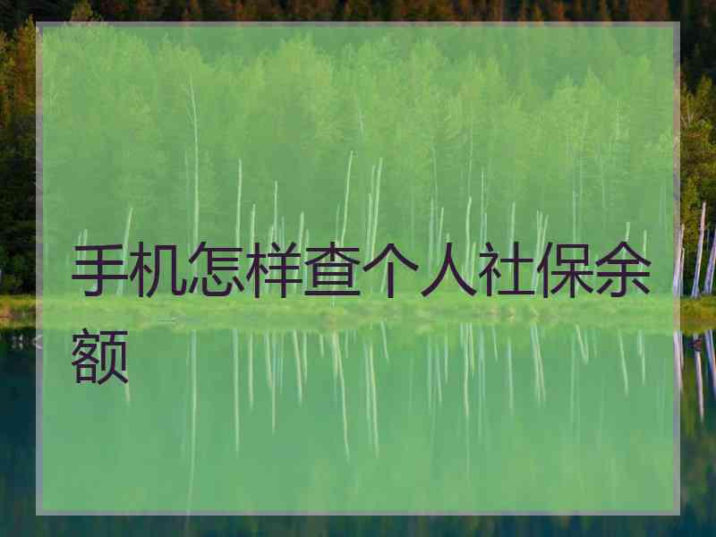 手机怎样查个人社保余额