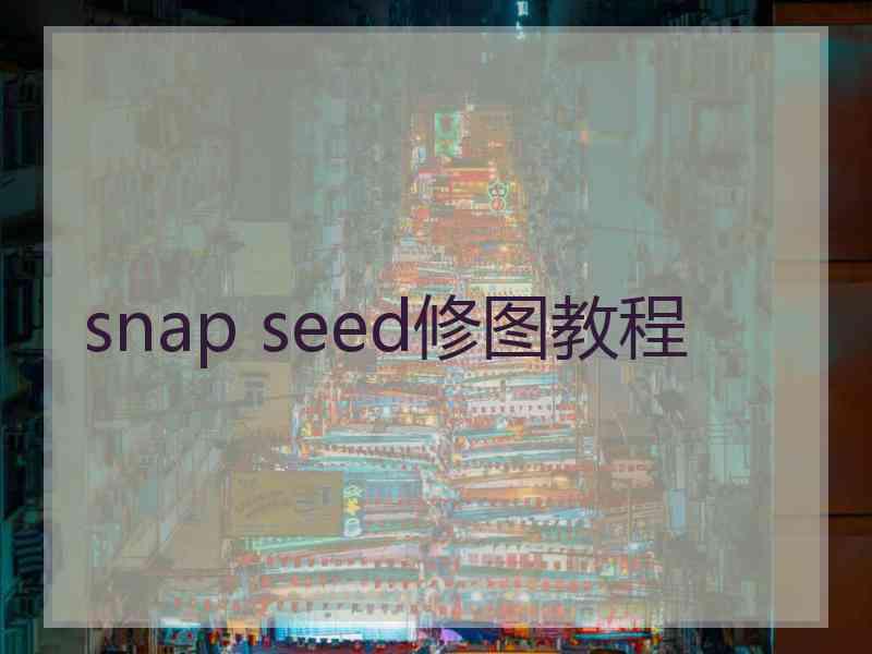 snap seed修图教程