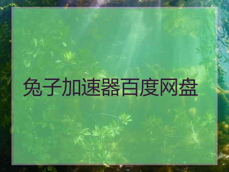 兔子加速器百度网盘