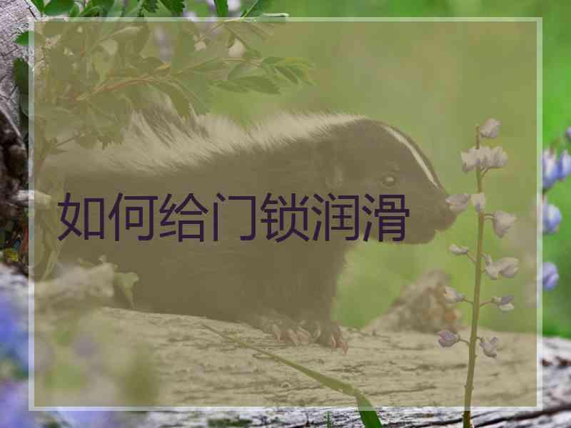 如何给门锁润滑