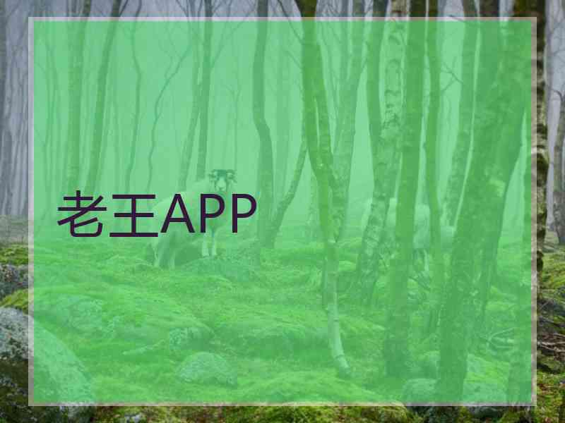 老王APP