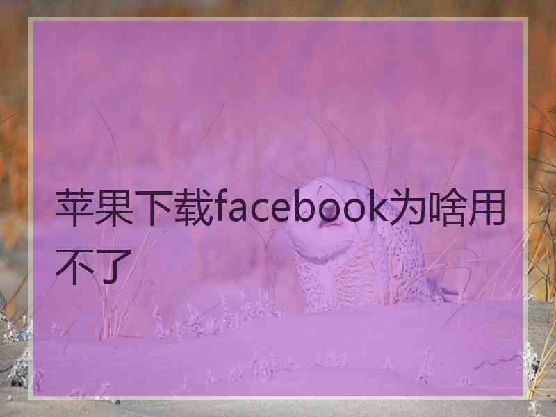 苹果下载facebook为啥用不了