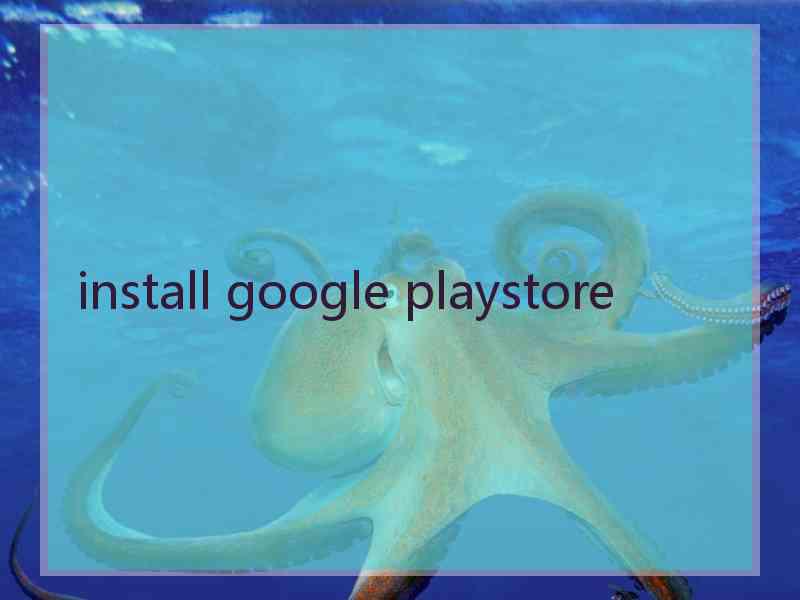 install google playstore