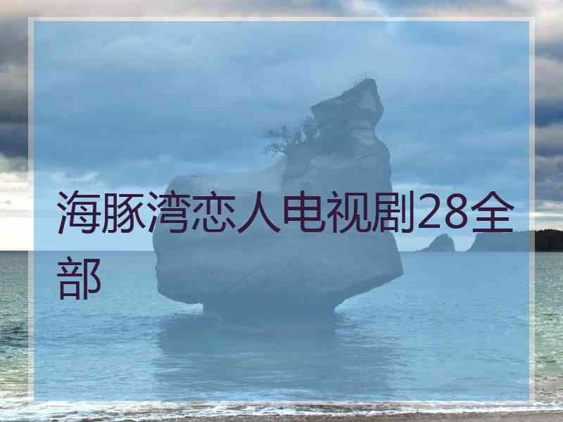 海豚湾恋人电视剧28全部