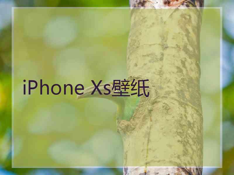 iPhone Xs壁纸