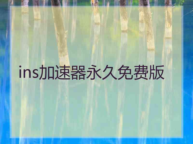 ins加速器永久免费版