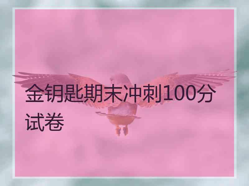 金钥匙期末冲刺100分试卷