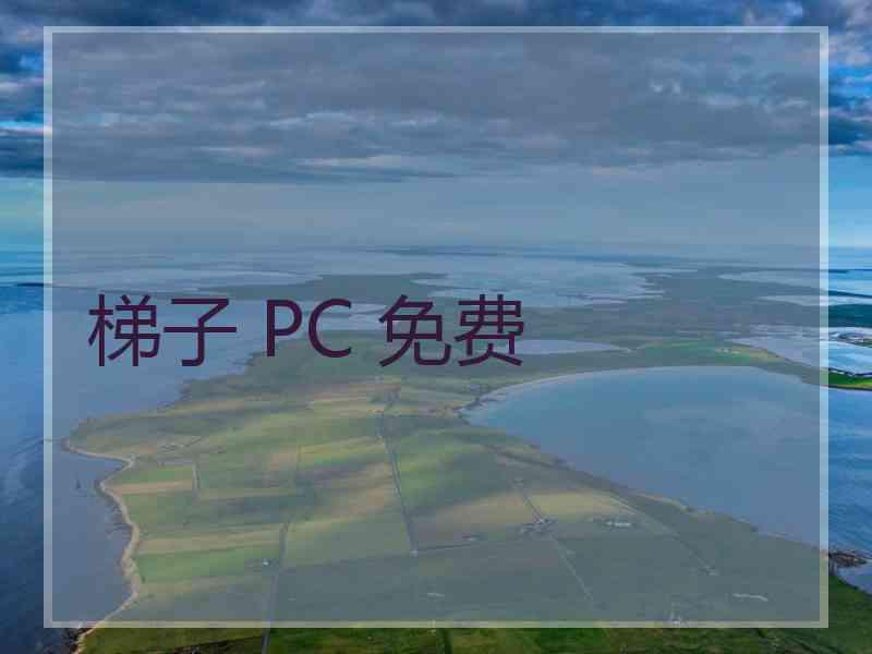 梯子 PC 免费