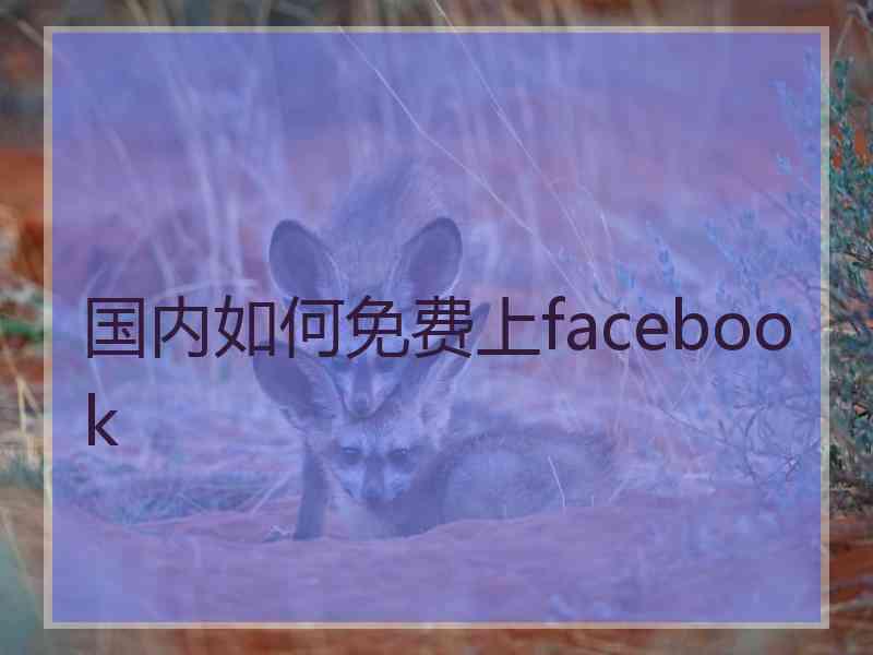 国内如何免费上facebook