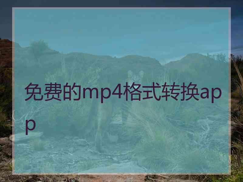 免费的mp4格式转换app