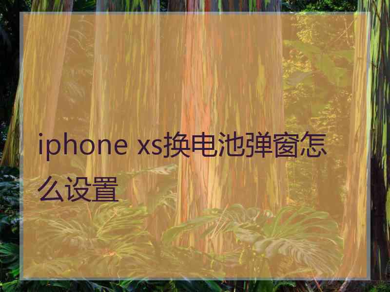 iphone xs换电池弹窗怎么设置