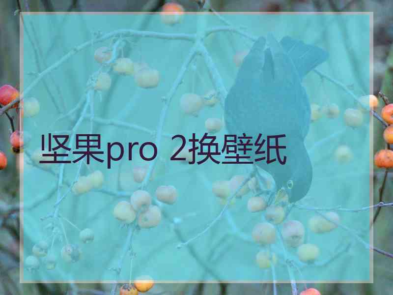 坚果pro 2换壁纸