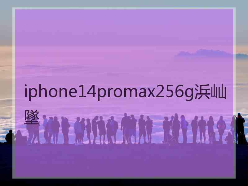 iphone14promax256g浜屾墜