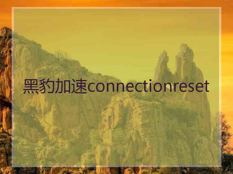 黑豹加速connectionreset