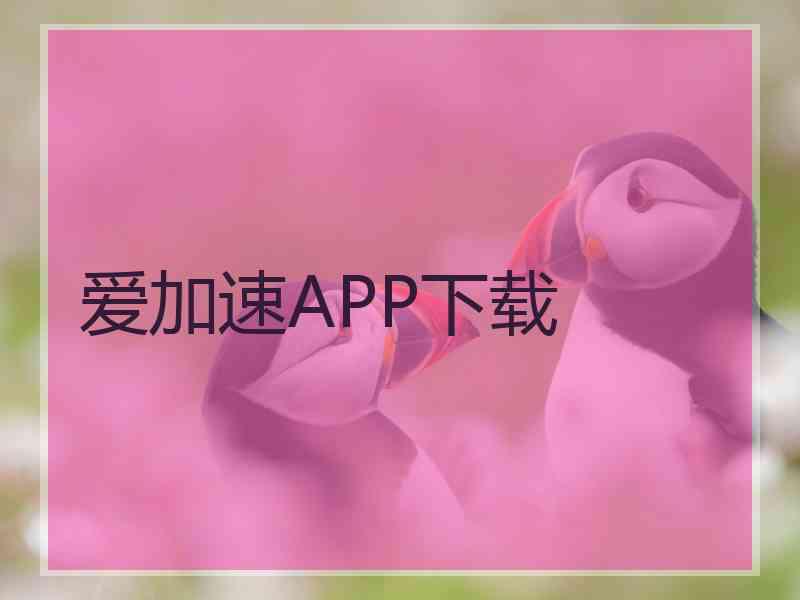 爱加速APP下载