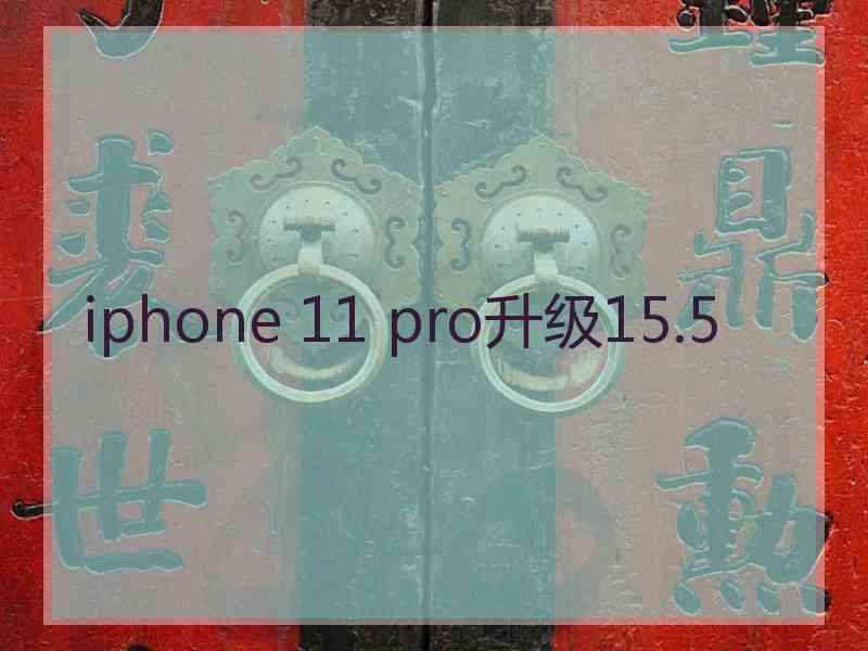 iphone 11 pro升级15.5