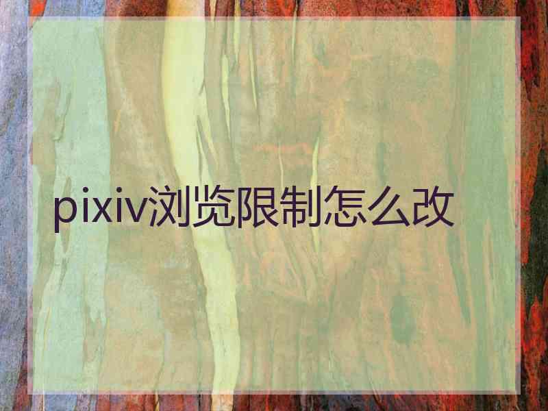 pixiv浏览限制怎么改