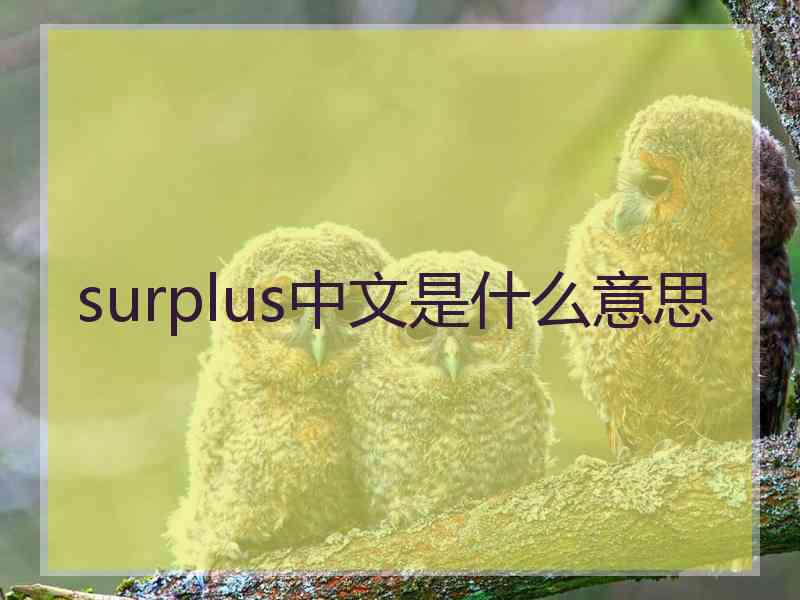 surplus中文是什么意思