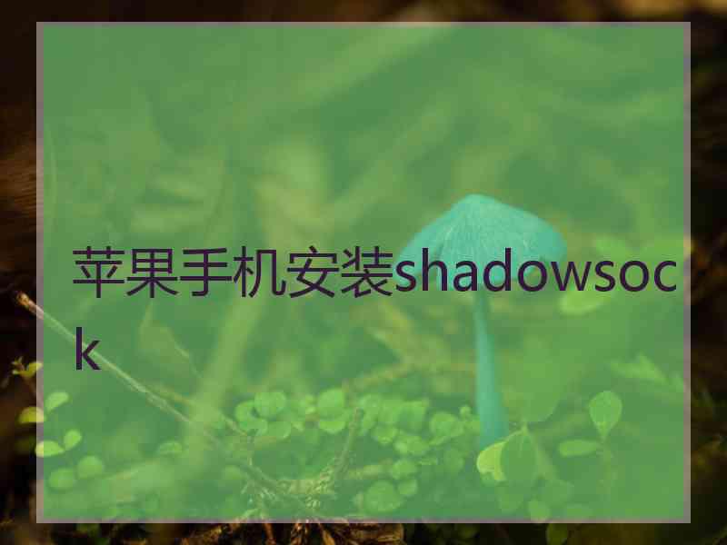 苹果手机安装shadowsock