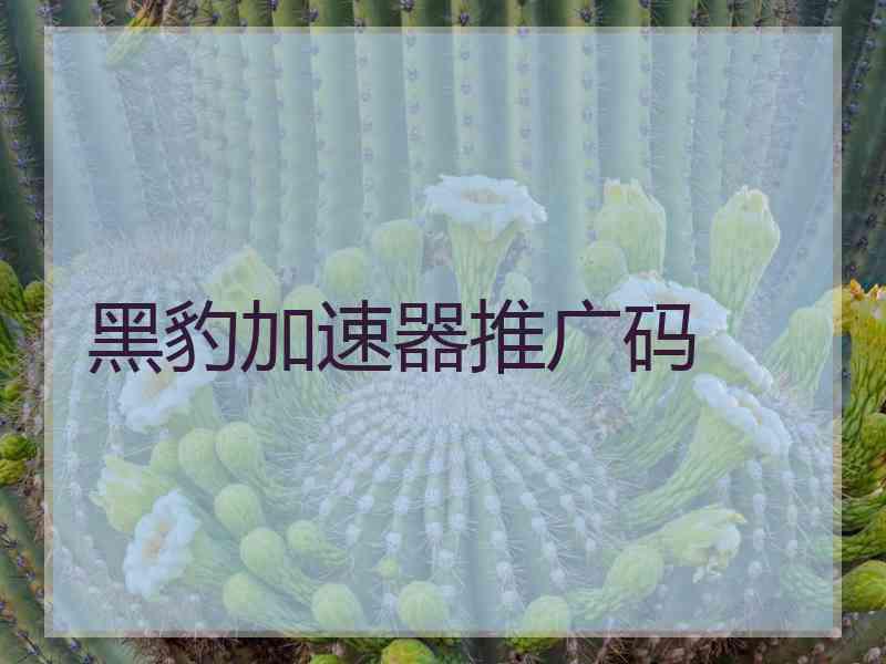 黑豹加速器推广码